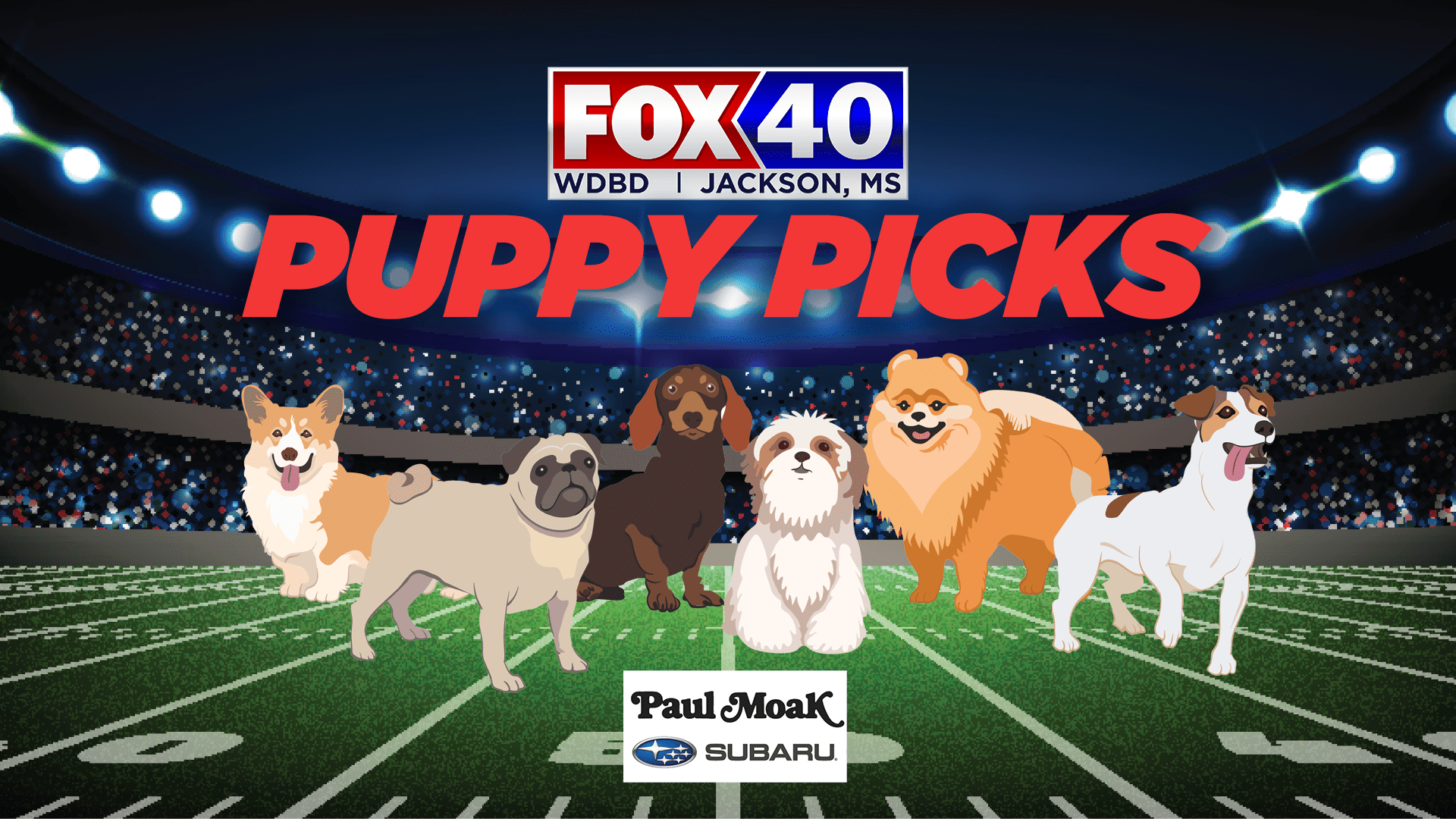 puppy picks
