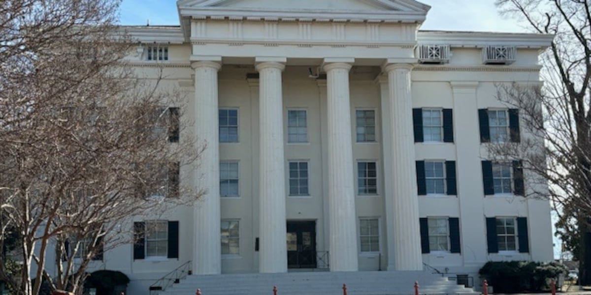 Council receives long-awaited 2023 audit. Here are some of the findings