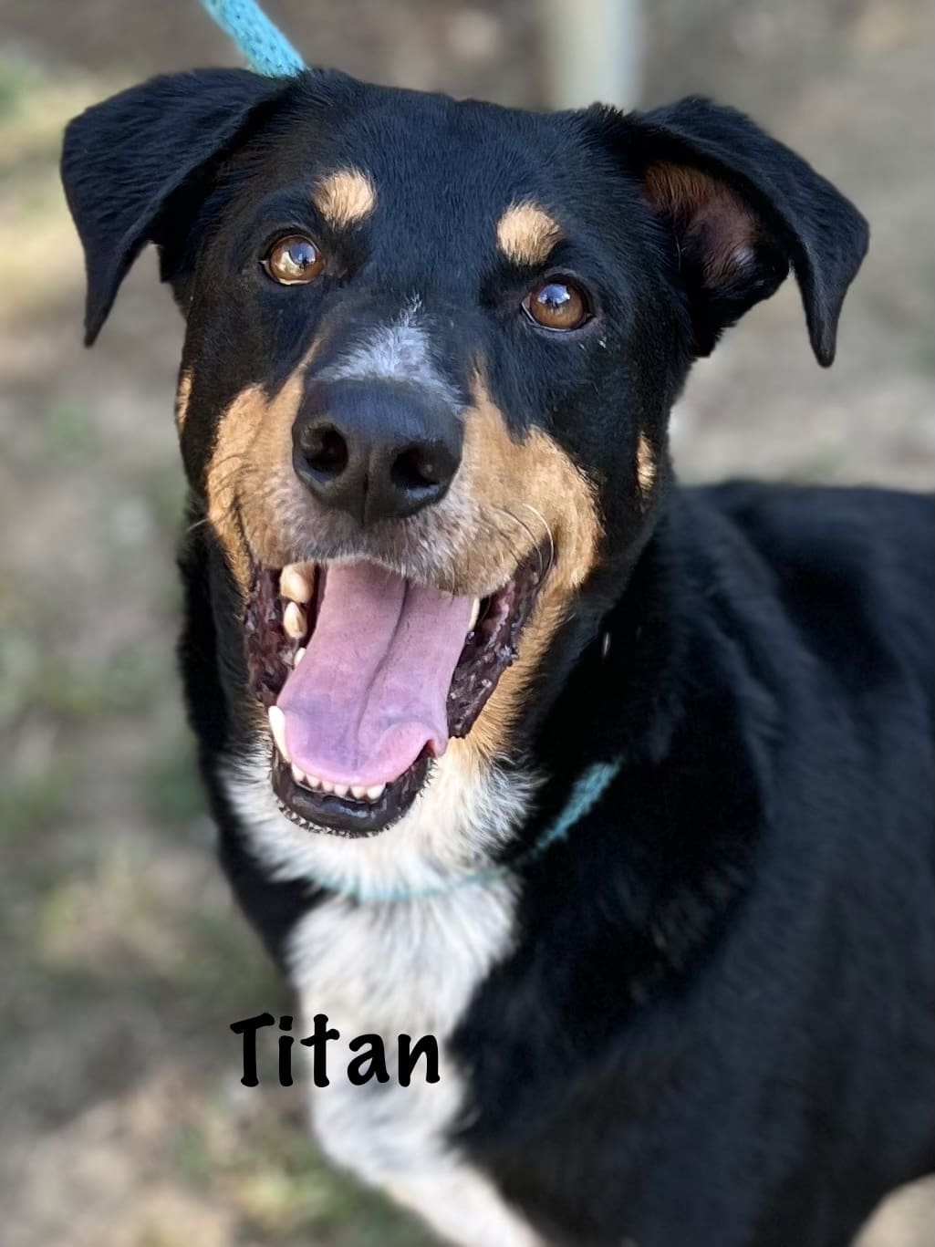 Titan