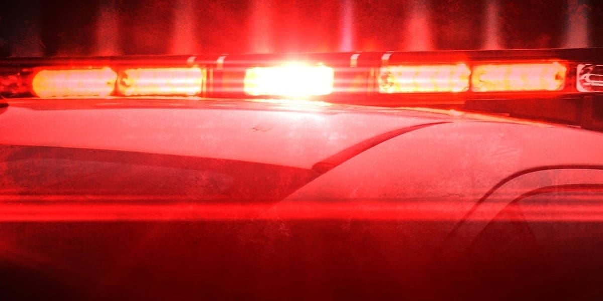 Man found shot to death inside vehicle in McComb