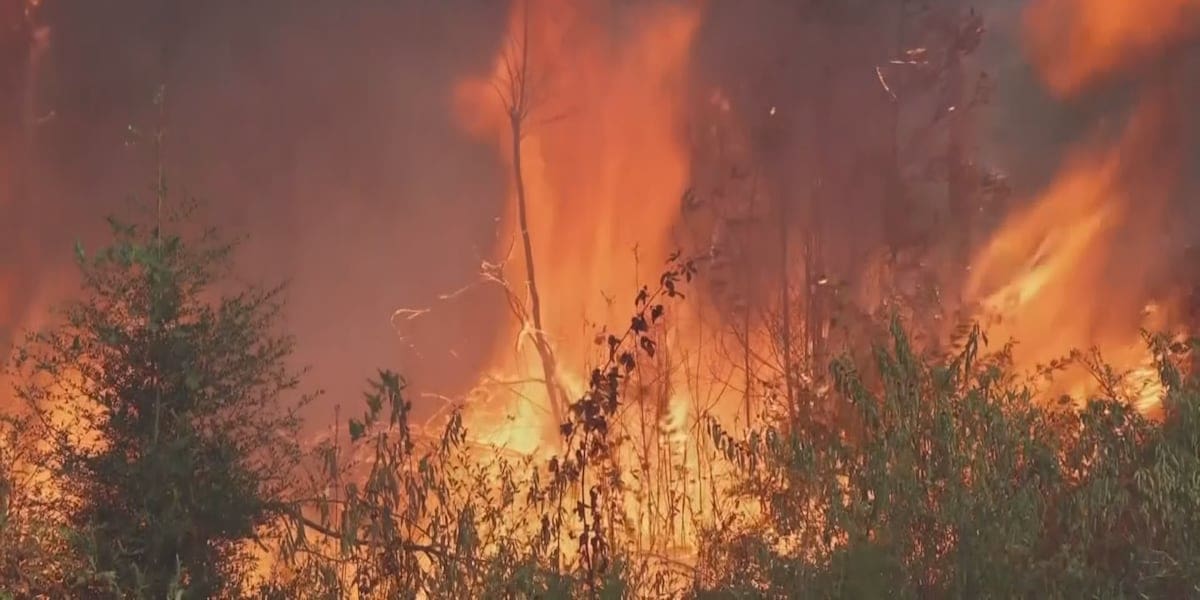 Burn ban issued for Hinds County