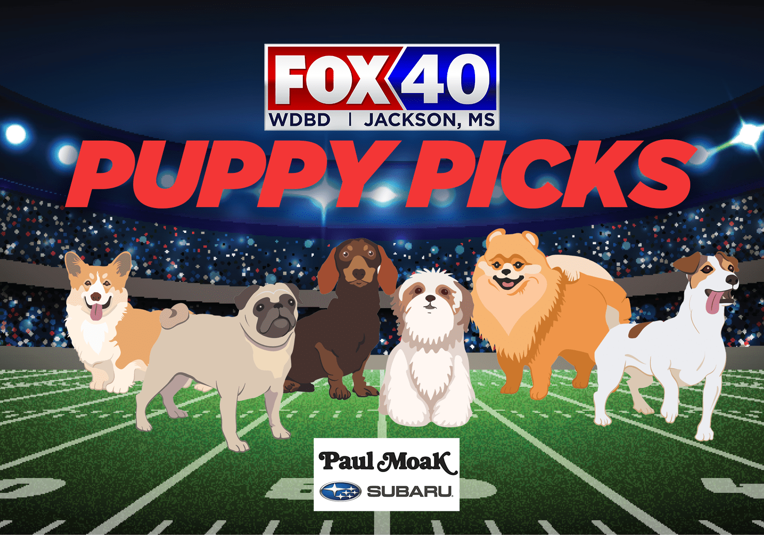 puppy picks logo 122424